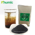 seaweed extract liquid organic fertilizer for plants